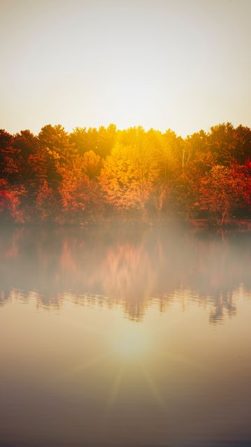 Autumn trees, Body of Water, Sunflare, Sunrise, Reflection, Lake, Morning, Fog, 5K, 8K