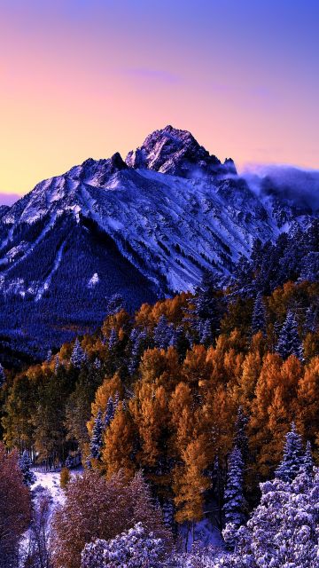 Mount Sneffels, Colorado, Snow covered, Aspen trees, Fog, Purple sky, Morning, Glacier, Beautiful