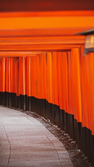 Shinto Shrine, Tokyo, Japanese culture, Torii Pass, Orange, Pattern, Pathway, Temple, Worship, 5K