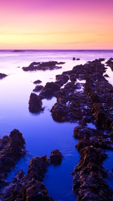 Fitzgerald marine reserve, Sunset, California, USA, Moss Beach, Rocks, , Purple sky, Landscape, Seascape, Body of Water, Ocean, Horizon, Clear sky, 5K