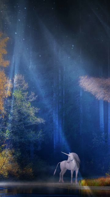 Unicorn, Fairy tale, Mythical, Light beam, Forest, Woods, Tall Trees, Scenery, Water
