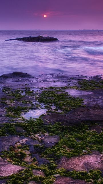 Seascape, Coast, Sunset, Ocean, Evening sky, Purple, Moss, Landscape