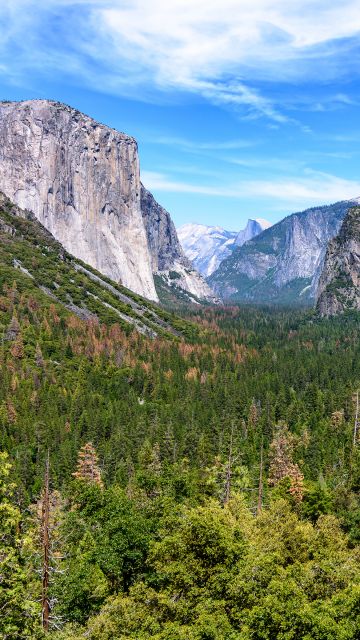 Yosemite National Park, Mountains, California, Blue Sky, Valley, Landscape, Green Trees, Scenery