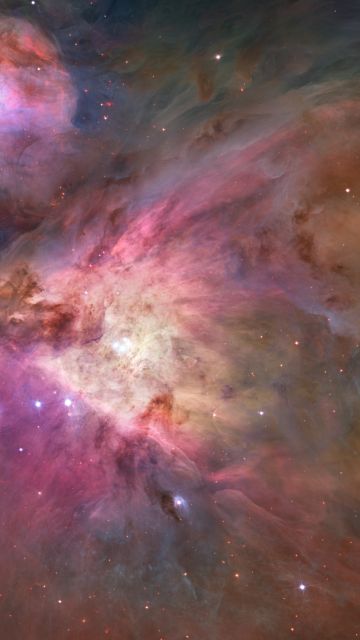 Orion Nebula, Astronomy, Outer space, Interstellar cloud, Stars, Cosmos, 5K