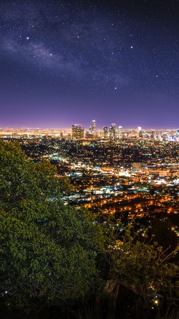 Los Angeles City, Cityscape, City lights, Night time, Horizon, Starry sky, Green Tree, Purple sky, Skyscrapers