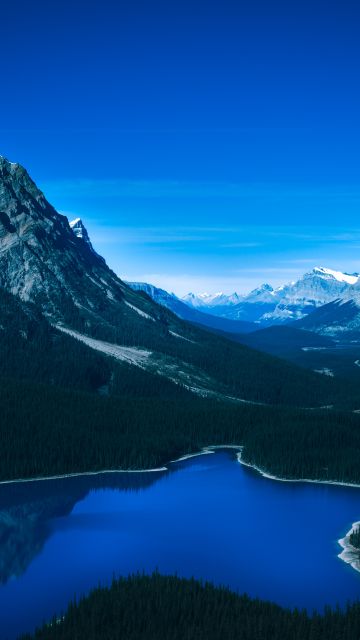 Peyto Lake, Banff National Park, Canada, Canadian Rockies, Mountain range, Blue Sky, Glacier mountains, Snow covered, Reflection, Green Trees, Landscape, Twilight, 5K
