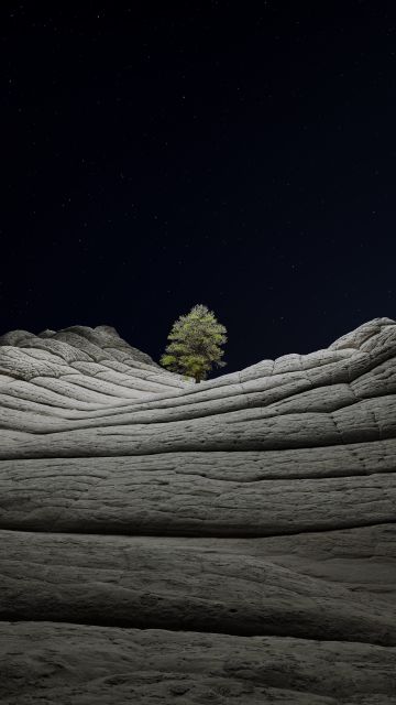 macOS Big Sur, Dark aesthetic, Stock, Night, Lone tree, Sedimentary rocks, Starry sky, iOS 14, 5K, Vermilion Cliffs