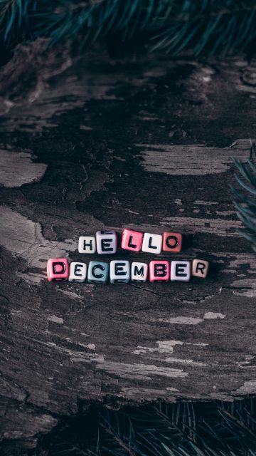 Hello December, Dice, Assorted, Wooden background, Pine branches, Christmas decoration, Letters, 5K