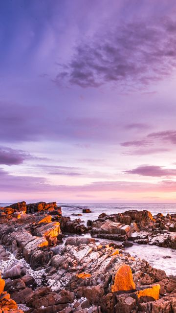 Bay of Fires, Tasmania, Australia, Sunrise, Rocky coast, Seascape, Ocean, Clouds, Purple sky