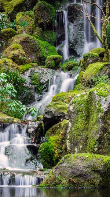 Portland Japanese Gardens, Waterfalls, Green Moss, Rocks, Greenery, Water Stream, Long exposure, 5K
