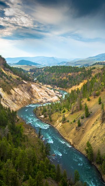Yellowstone National Park, USA, Cliff, River Stream, Landscape, Canyon, Green Trees, Valley, Scenery, 5K