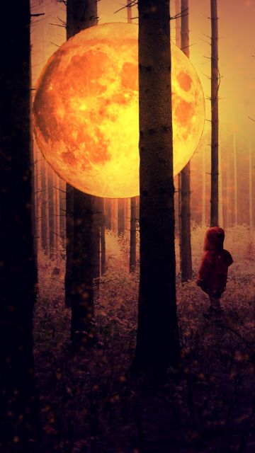 Full moon, Kid, Forest, Woodland, Surreal, Mystic, Night time, Tall Trees, 5K