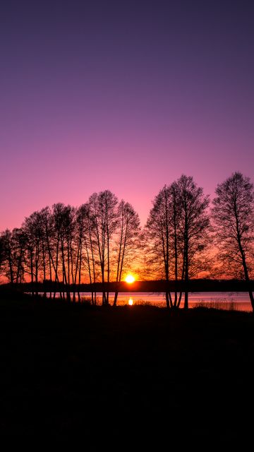 Rusutjärvi, Finland, Landscape, Sunset, Purple sky, Silhouette, Trees, Lake, Scenery, Dusk