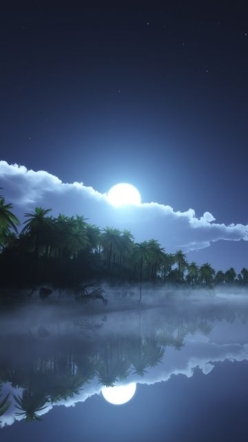Moon light, Night time, Palm trees, Body of Water, Reflection, Stars, Clouds