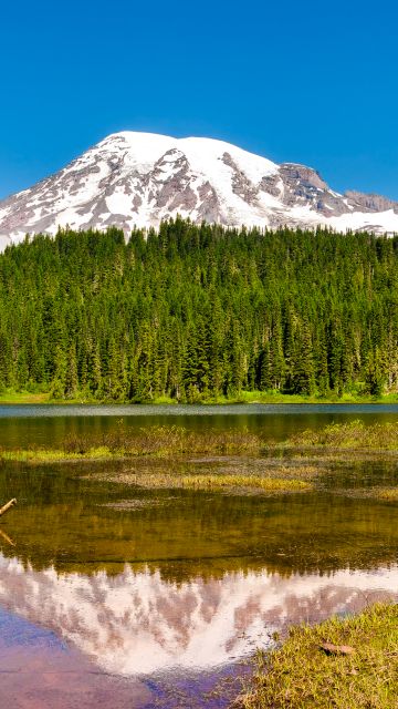 Mount Rainier, Volcano, Seattle, Washington, USA, Landscape, Blue Sky, Reflection, Green Trees, Scenery, Lake, Mountain Peak, Snow covered