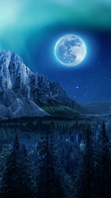 Moon, Aurora Borealis, Mountains, Winter, Forest, Night