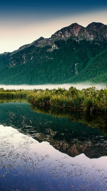 Mirror Lakes, New Zealand, Fog, Mountain, Reflection, Landscape, Scenery, Greenery