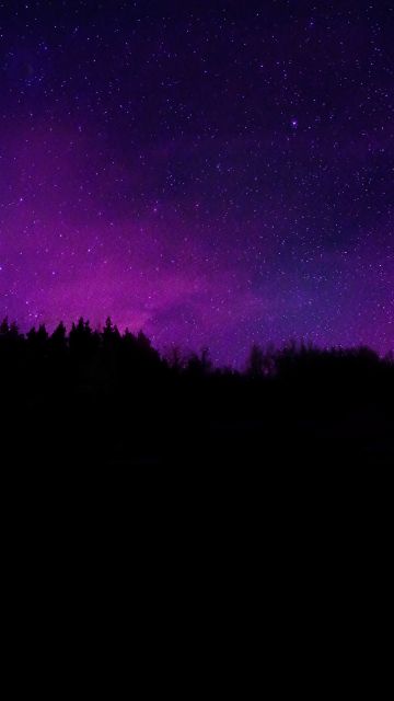 Trees, Silhouette, Purple sky, Dark background, Night sky, Stars, Dark aesthetic