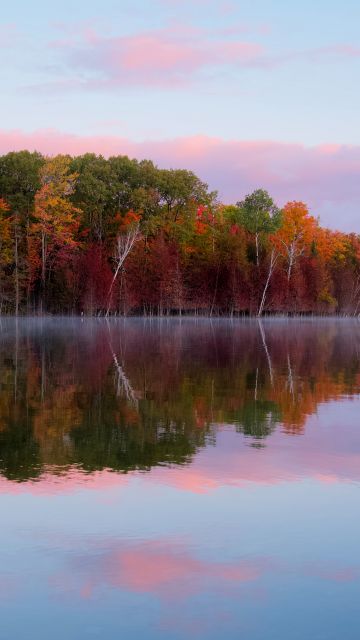 Autumn trees, Forest, Body of Water, Reflection, Lake, Landscape, Scenery, Outdoor, 5K
