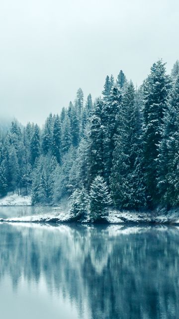 Kootenay River, Snowfall, British Columbia, Canada, Forest, Winter, Snowy Trees, Mirror Lake, Reflection, Landscape, Misty, Early Morning