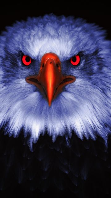 Eagle, Bird of prey, Raptors, Red eyes, Black background, 5K, 8K