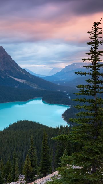 Peyto Lake, Mountains, Turquoise, Evening, Sunset, Canada