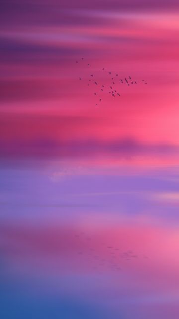 Pink sky, Horizon, Scenic, Flying birds, Seascape, Sunset, Aesthetic, 5K, 8K
