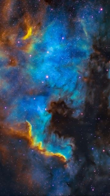 Pelican Nebula, Cygnus, Blue Galaxy, Astronomy, Stars, Cosmic, 5K