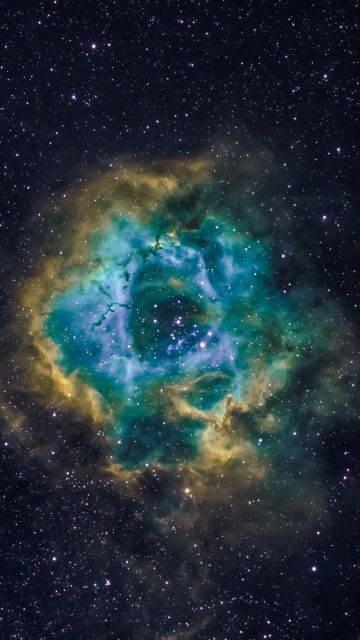 Rosette Nebula, Astronomy, Milky Way, Blue Galaxy, Hubble Palette, Stars, Outer space