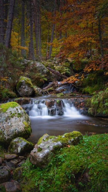 Waterfall, Autumn, Foliage, Forest, Woods, Greenery, Rocks, Green Moss, Long exposure, Water Stream, Landscape, Scenery, 5K