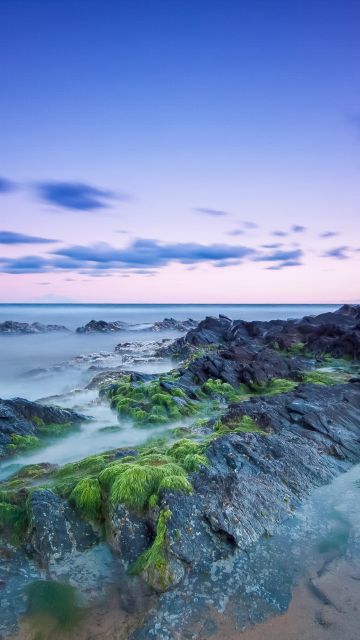 Rocky coast, Beach, Long exposure, Seascape, Horizon, Clouds, Green Moss, Evening sky