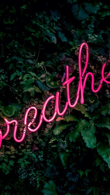 Breathe, Neon sign, Green background, Green leaves, Pink, Girly backgrounds
