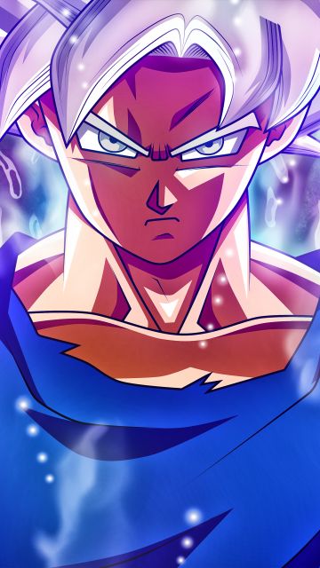 Goku Mastered Ultra Instinct, 5K, Dragon Ball Super