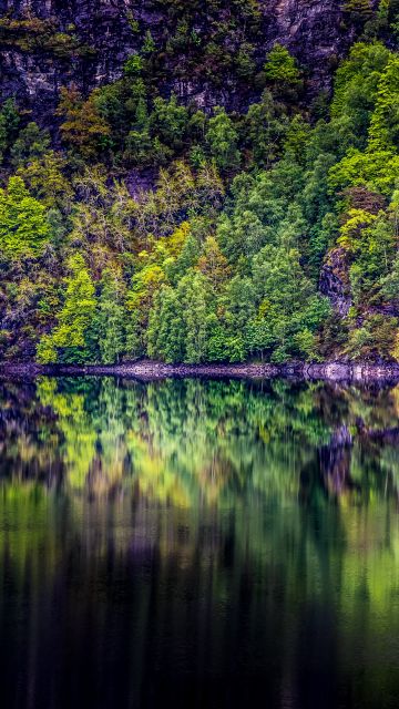 Rainforest, Cliff, Rock, Trees, Lake, River, Forest, Reflection, Norway, 5K
