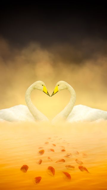 White Swan, Love Birds, Heart shape, Autumn leaves, Yellow, Digital composition
