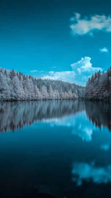 Forest, Infrared vision, Blue Sky, Mirror Lake, Reflection, Body of Water, Landscape, Pine trees, 5K, 8K