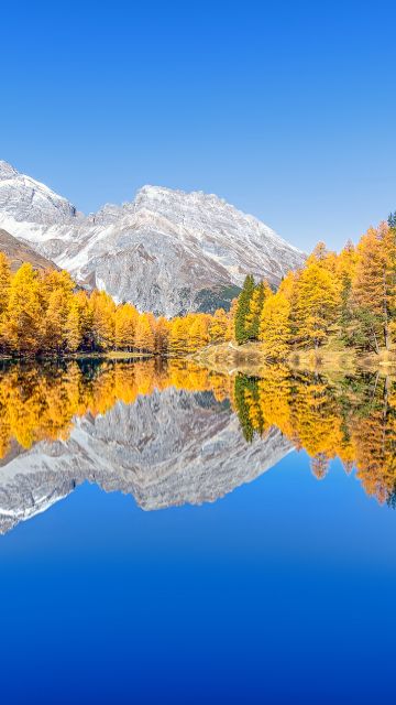 Lai da Palpuogna, Autumn trees, Mountain lake, Reflection, Albula Pass, Clear sky, Landscape, Scenery, 5K