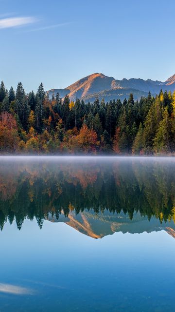 Crestasee Lake, Autumn trees, Switzerland, Reflection, Mirror Lake, Fog, Landscape, Scenery, 5K