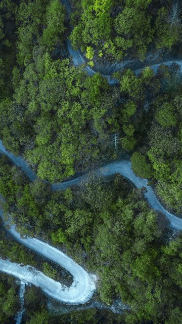Forest, Cold, Road, Aerial view, Drone photo, Landscape
