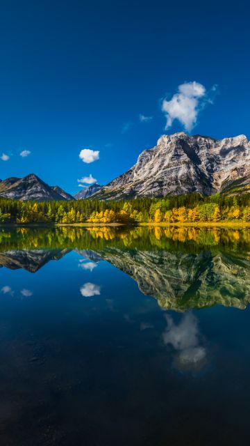 Wedge Pond, Canada, Clear sky, Reflection, Mountains, Green Trees, Landscape, Scenery