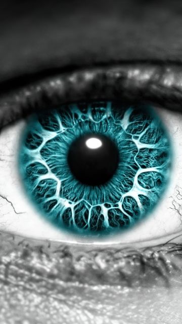 Eye, Iris, Blue eyes, Closeup, Macro
