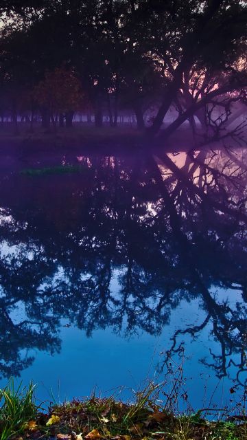 Laguna de Santa Rosa, Trees, Lake, Reflections, Colorful, Sunset, California, Body of Water