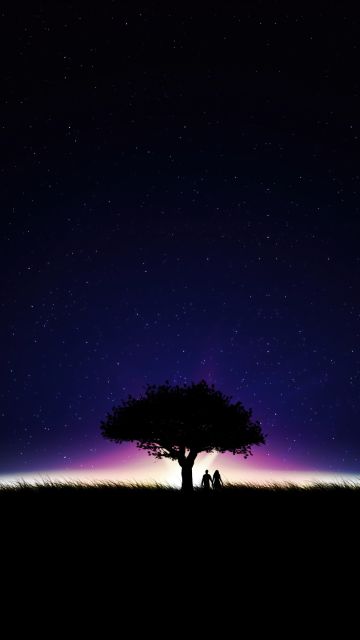 Couple, Stars in sky, Night, Romantic, Dark Sky, Lone tree, Silhouette, Together, Starry sky
