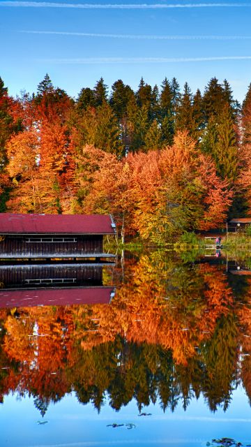 Autumn trees, Mirror Lake, Forest, Reflection, Wooden House, Landscape, Scenery, 5K, 8K