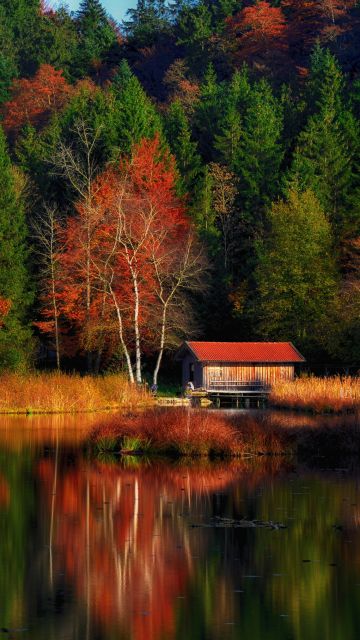 Autumn Scenery, Lakeside, Colourful, Forest, Reflection, Landscape, Wooden House, Beautiful