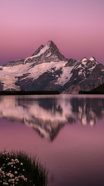 Bachalpsee Lake, Switzerland, Swiss Alps, Pink sky, Snow covered, Mountain View, Reflection, Sunset, Dusk, 5K, 8K