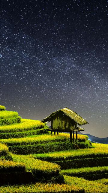 Terrace farming, Rice fields, Agriculture, Countryside, Landscape, Greenery, Paddy fields, Starry sky, Night time, 5K, 8K