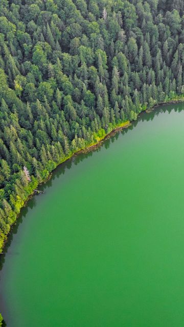 Green Lake, Green Trees, Aerial view, Forest, Landscape, Woodland, Scenery