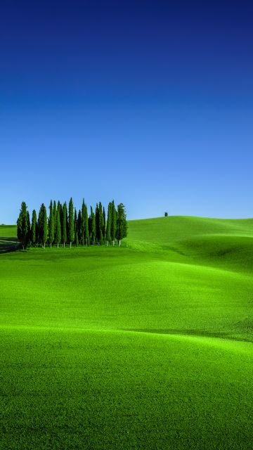Green Meadow, Torrenieri, Tuscany, Italy, Clear sky, Landscape, Blue Sky, Spring, 5K
