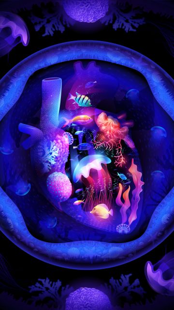 Neon, Under the Sea, Heart, Ocean, Aquarium, Jellyfishes